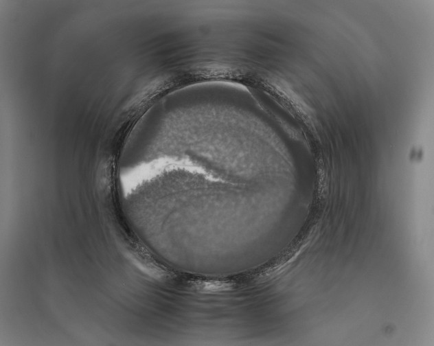 X0000095520165200801111444