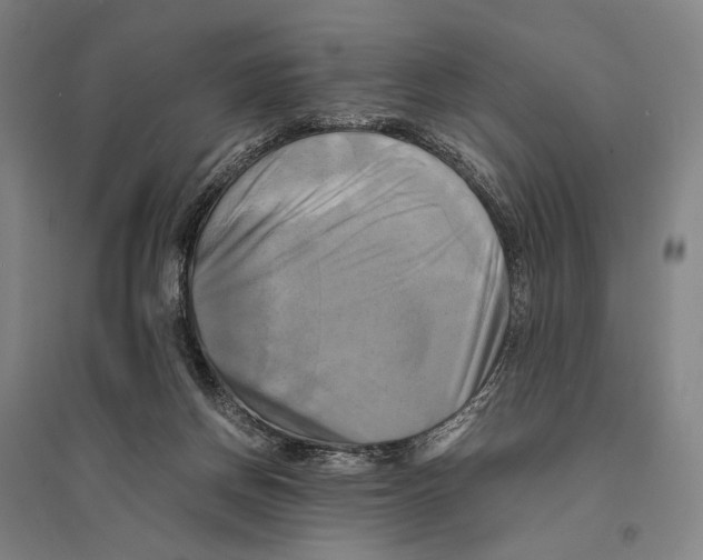 X0000095520166200801111444