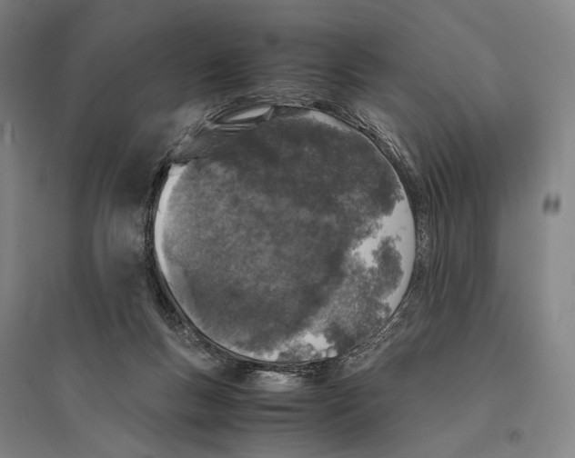 X0000095520167200801111444