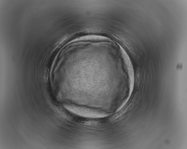 X0000095520168200801111444