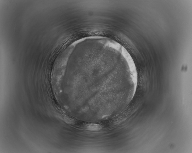 X0000095520169200801111444