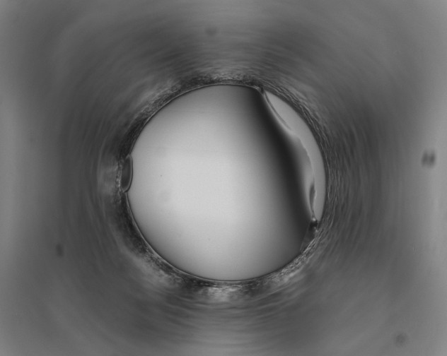 X0000095520172200801111444