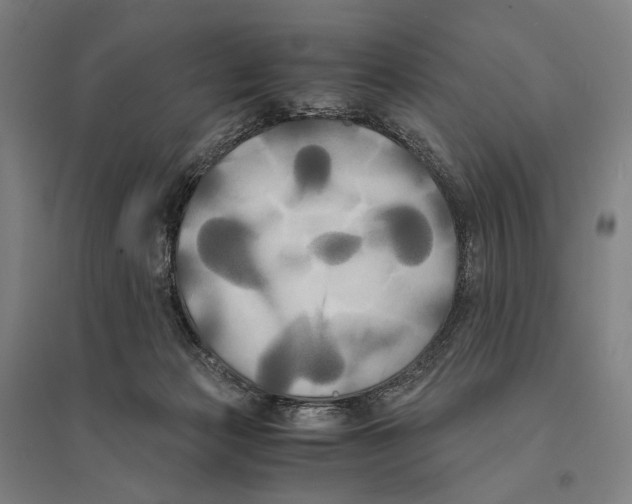X0000095520173200801111444