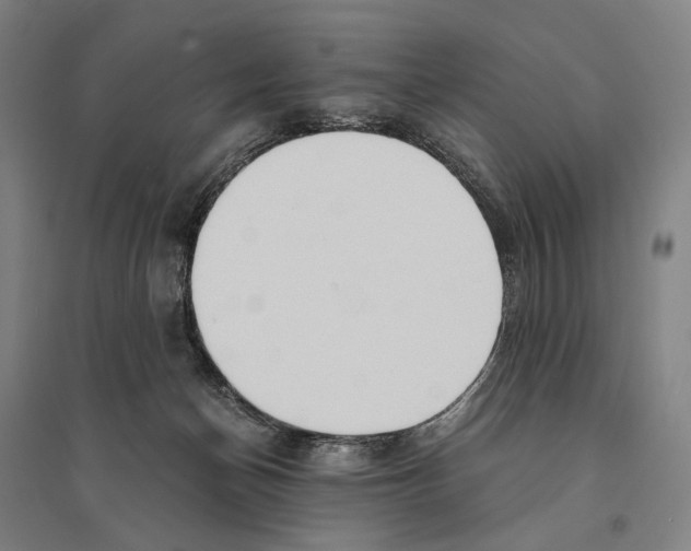X0000095520174200801111444