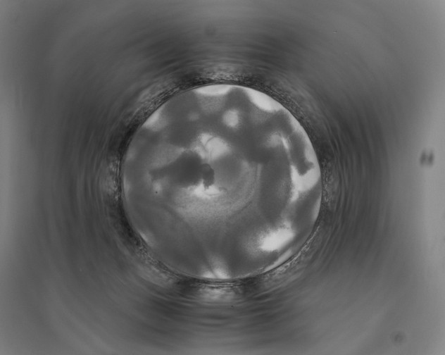 X0000095520175200801111444