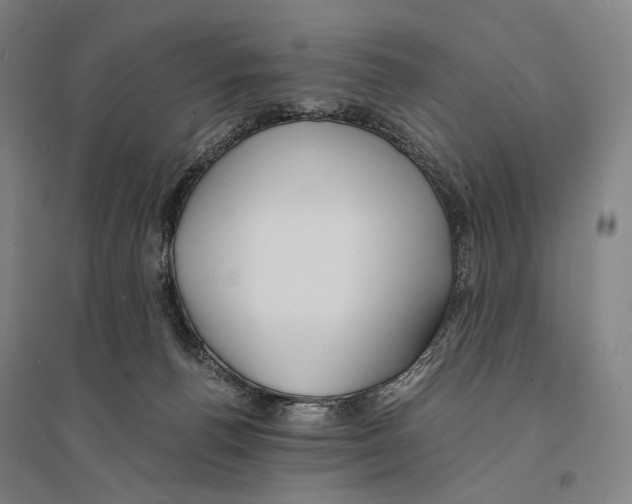 X0000095520176200801111444