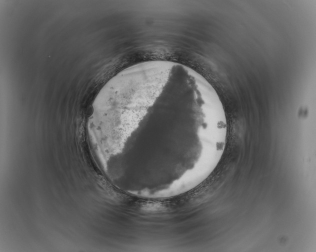 X0000095520177200801111444