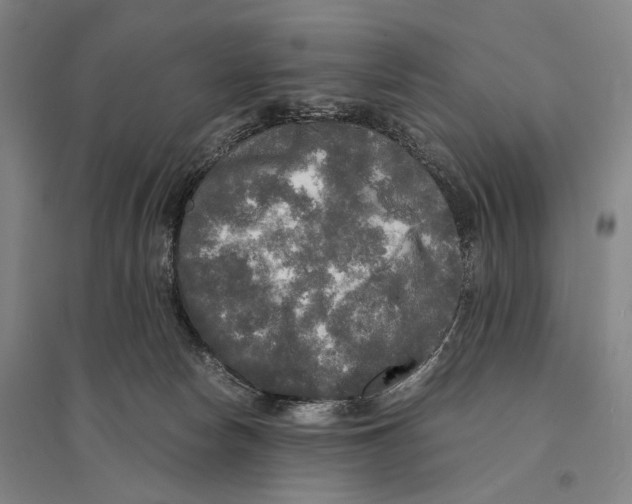X0000095520178200801111444