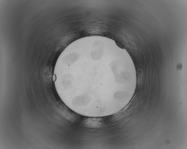 X0000095520179200801111444