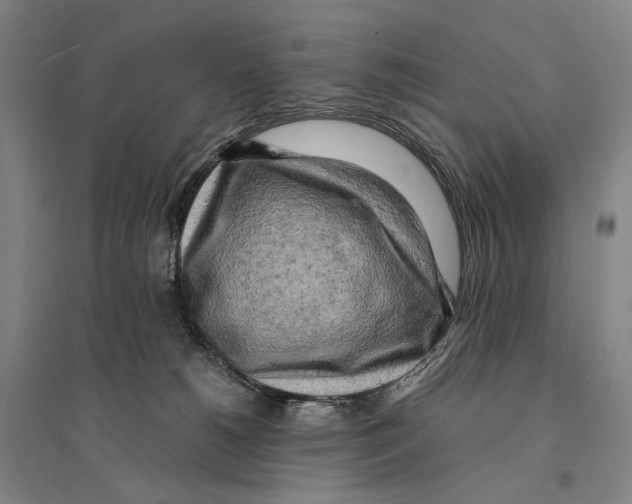 X0000095520180200801111444