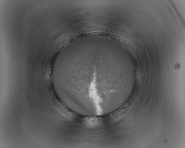 X0000095520181200801111444