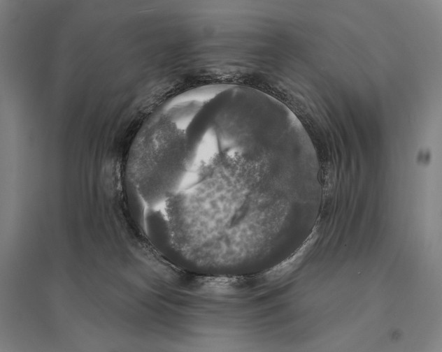 X0000095520182200801111444