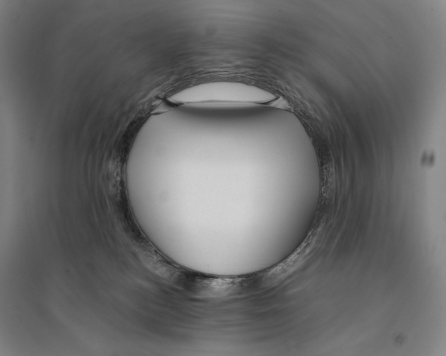 X0000095520184200801111445