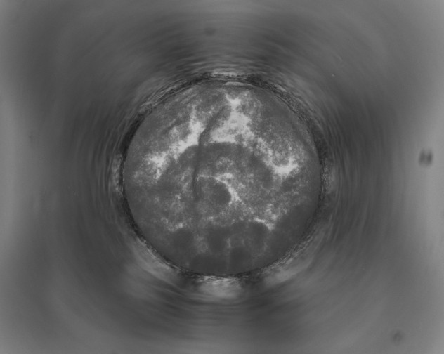 X0000095520185200801111445