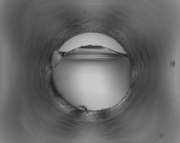 X0000095520186200801111445