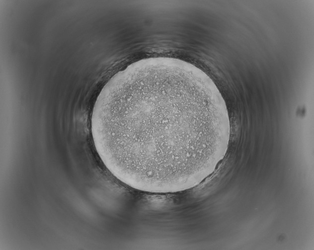 X0000095520187200801111445