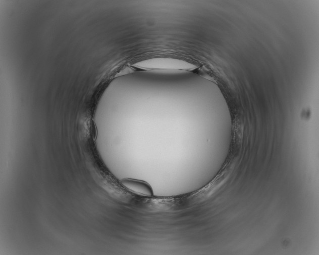 X0000095520188200801111445