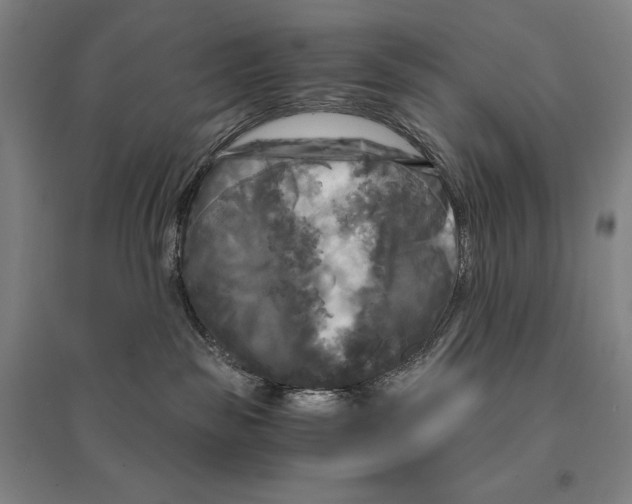 X0000095520189200801111445