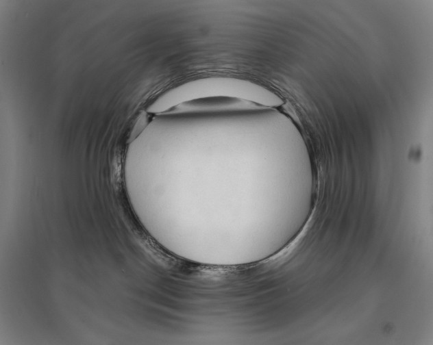 X0000095520190200801111445
