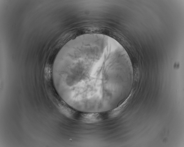 X0000095520191200801111445