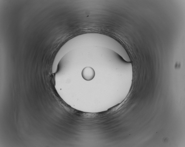 X0000095520192200801111445
