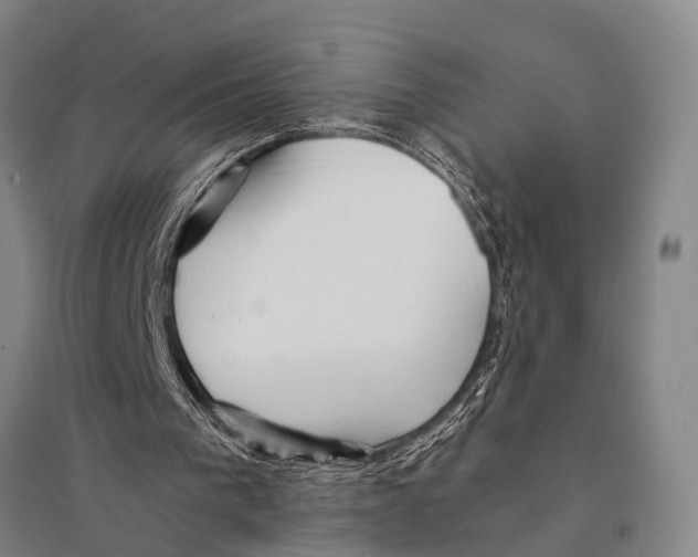 X0000095520193200801111444