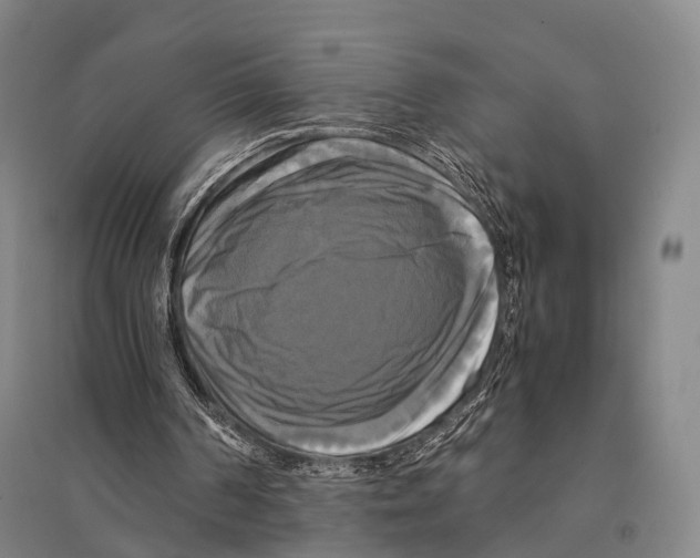 X0000095520194200801111444