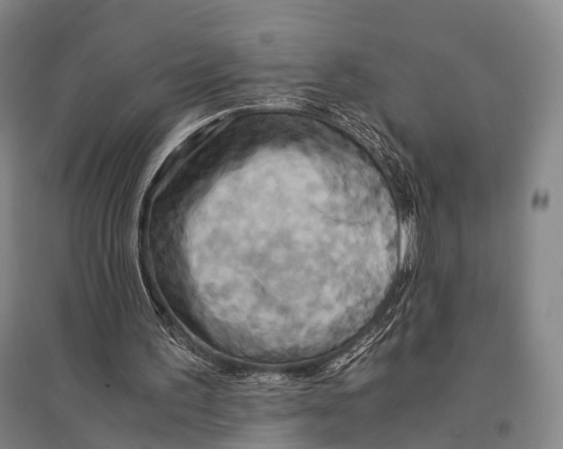 X0000095520195200801111444