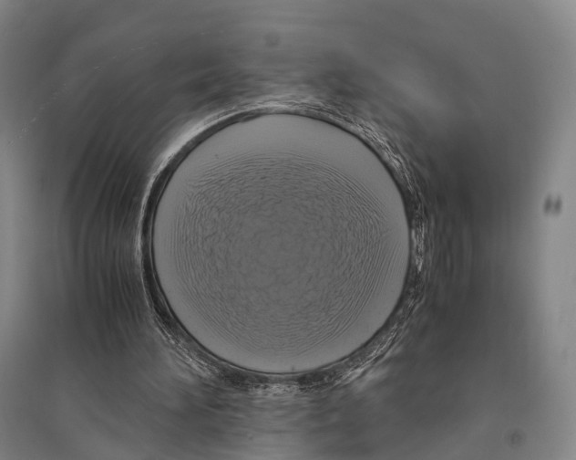 X0000095520196200801111444