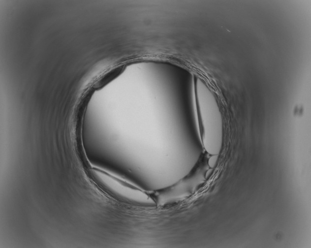 X0000095520197200801111444