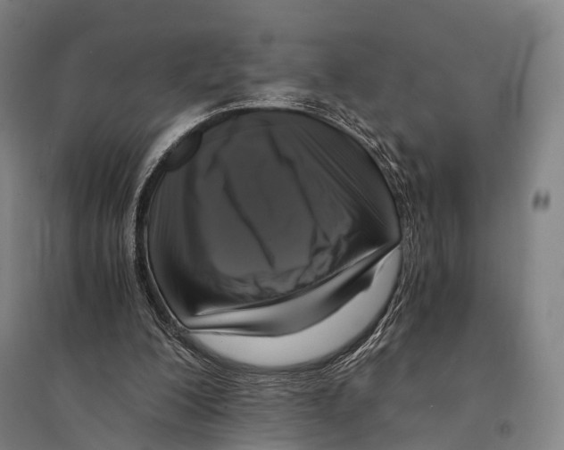 X0000095520200200801111444