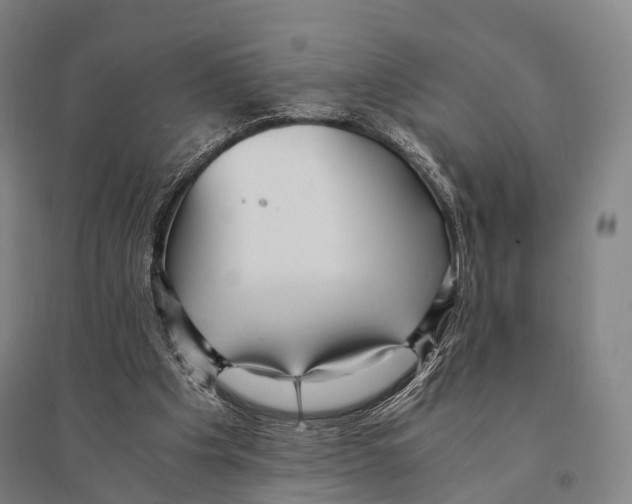 X0000095520201200801111444