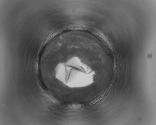 X0000095520202200801111444