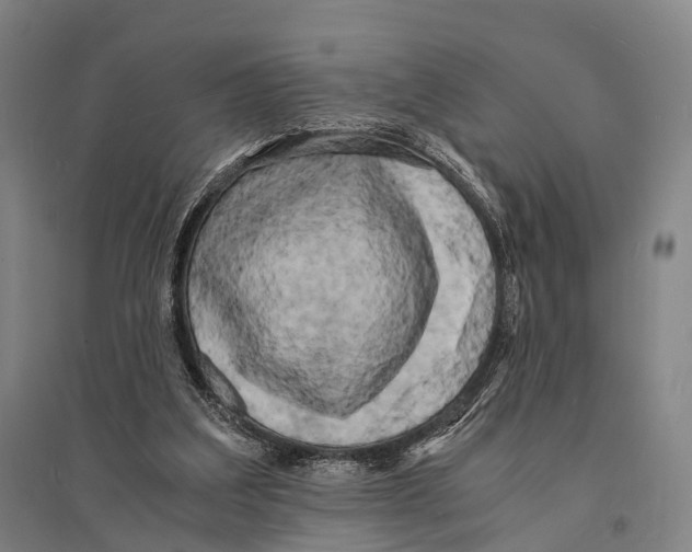 X0000095520203200801111444