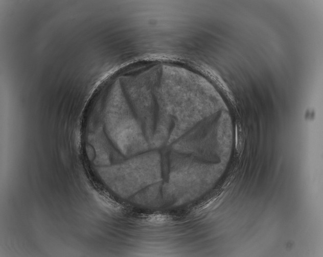 X0000095520204200801111444