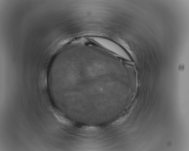 X0000095520205200801111444