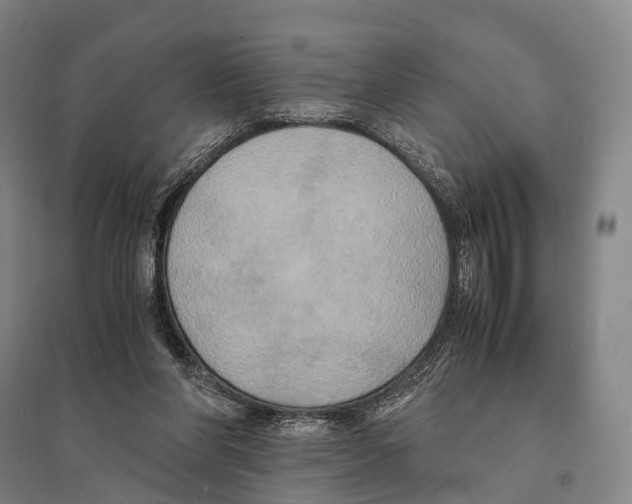 X0000095520206200801111444