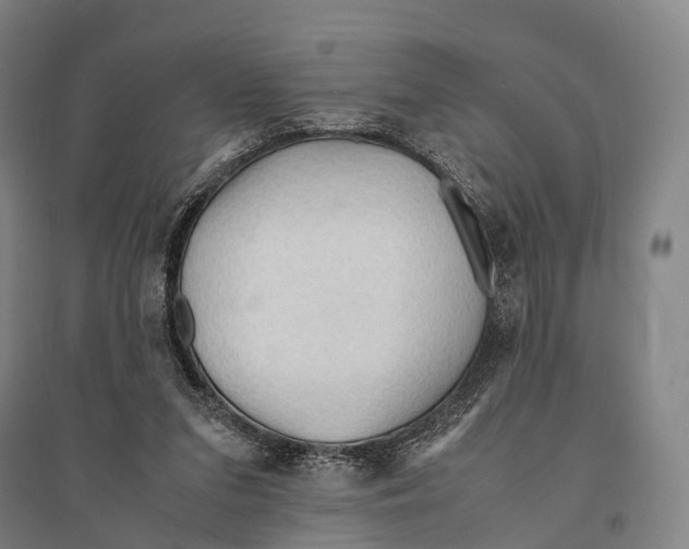 X0000095520207200801111444