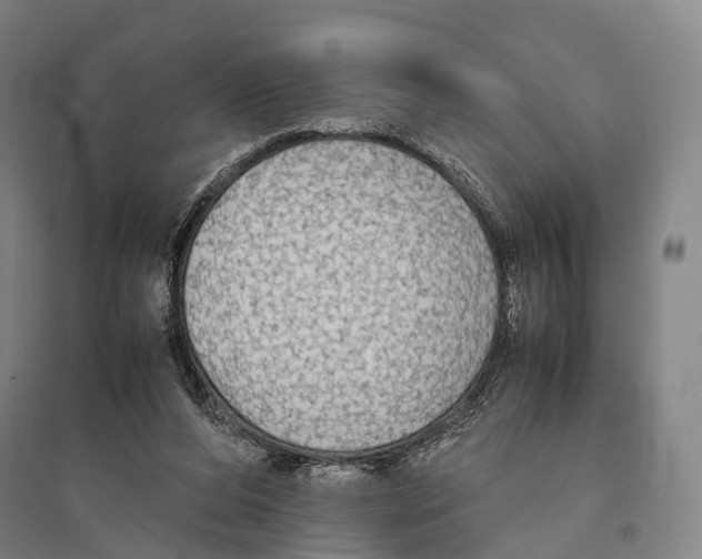 X0000095520208200801111444