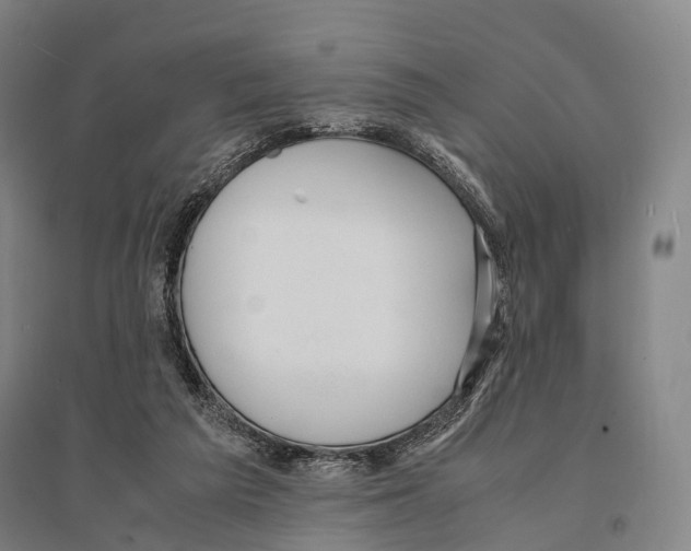 X0000095520209200801111444