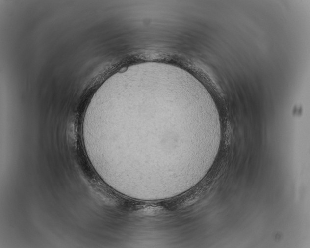 X0000095520210200801111444
