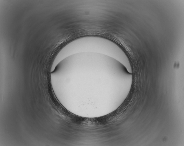 X0000095520211200801111444