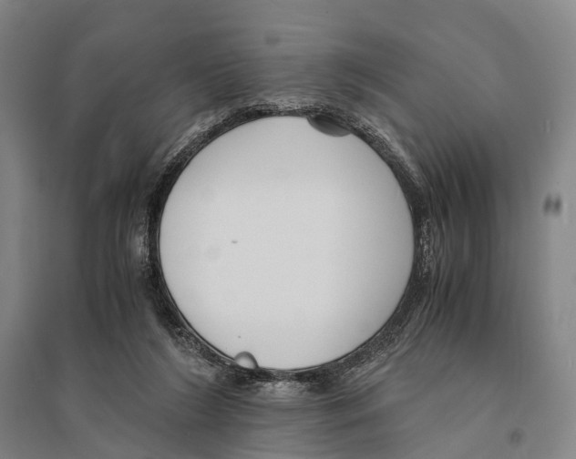 X0000095520212200801111444