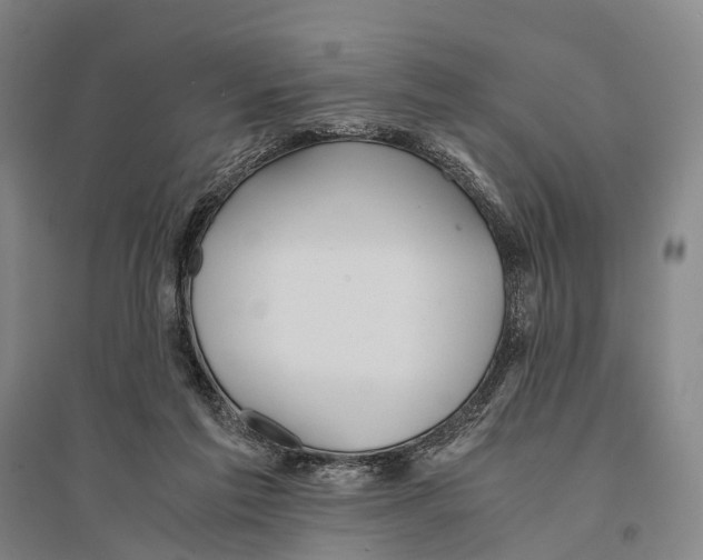X0000095520213200801111444