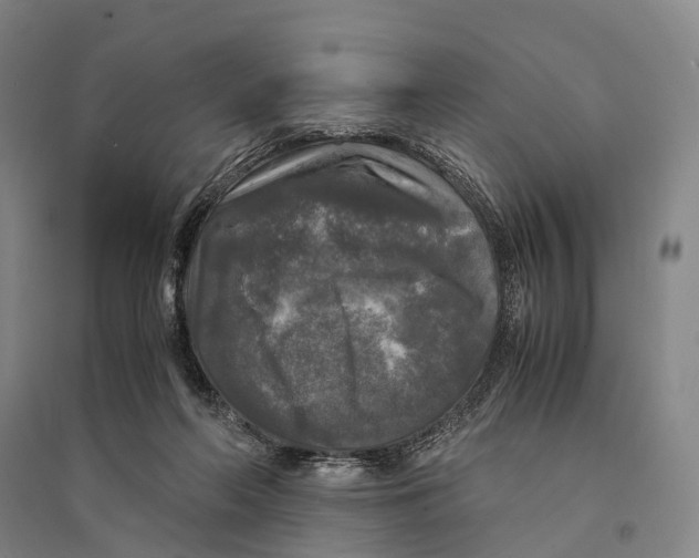 X0000095520214200801111443