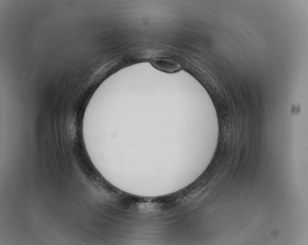 X0000095520216200801111443