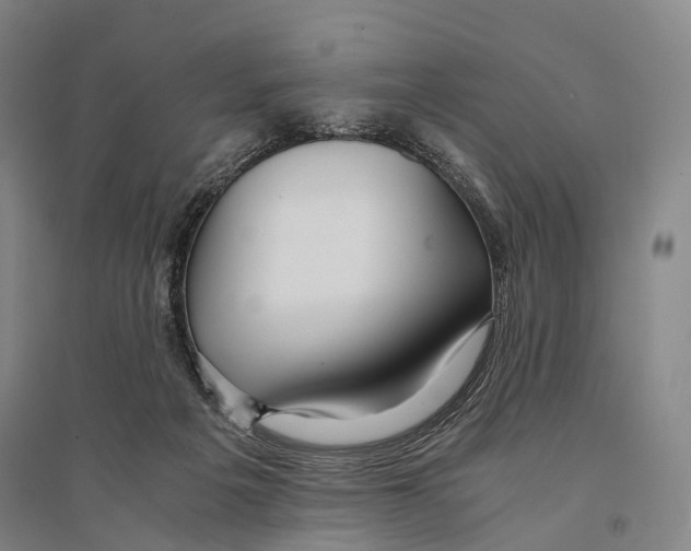 X0000095520217200801111443