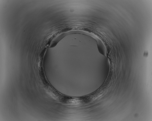 X0000095520219200801111443
