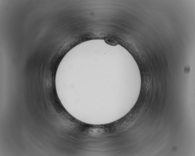 X0000095520220200801111443