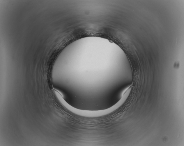 X0000095520221200801111443
